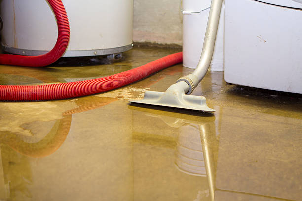 Water damage restoration experts in MS