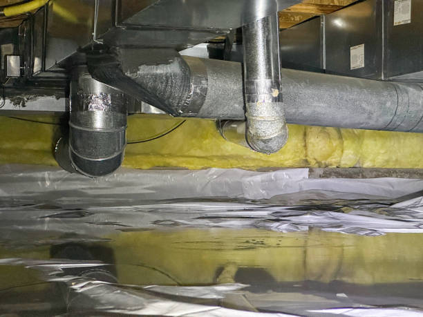 Best Flood restoration services  in Amory, MS