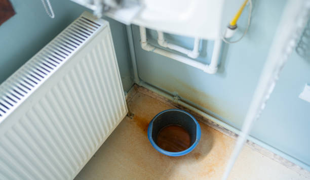 Best Water damage cleanup near me  in Amory, MS