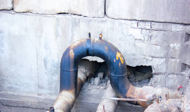 Best Local water damage restoration  in Amory, MS