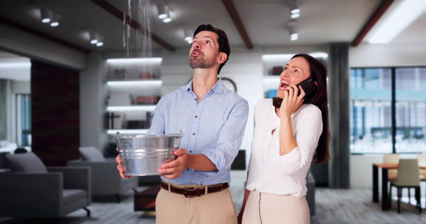 Best 24-hour water damage restoration  in Amory, MS